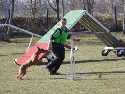 vereinsmeisterschaft-2016